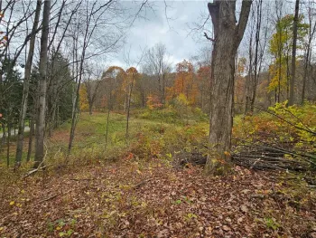 Property at 136 Dubois Lane, Oxford, NY 13830