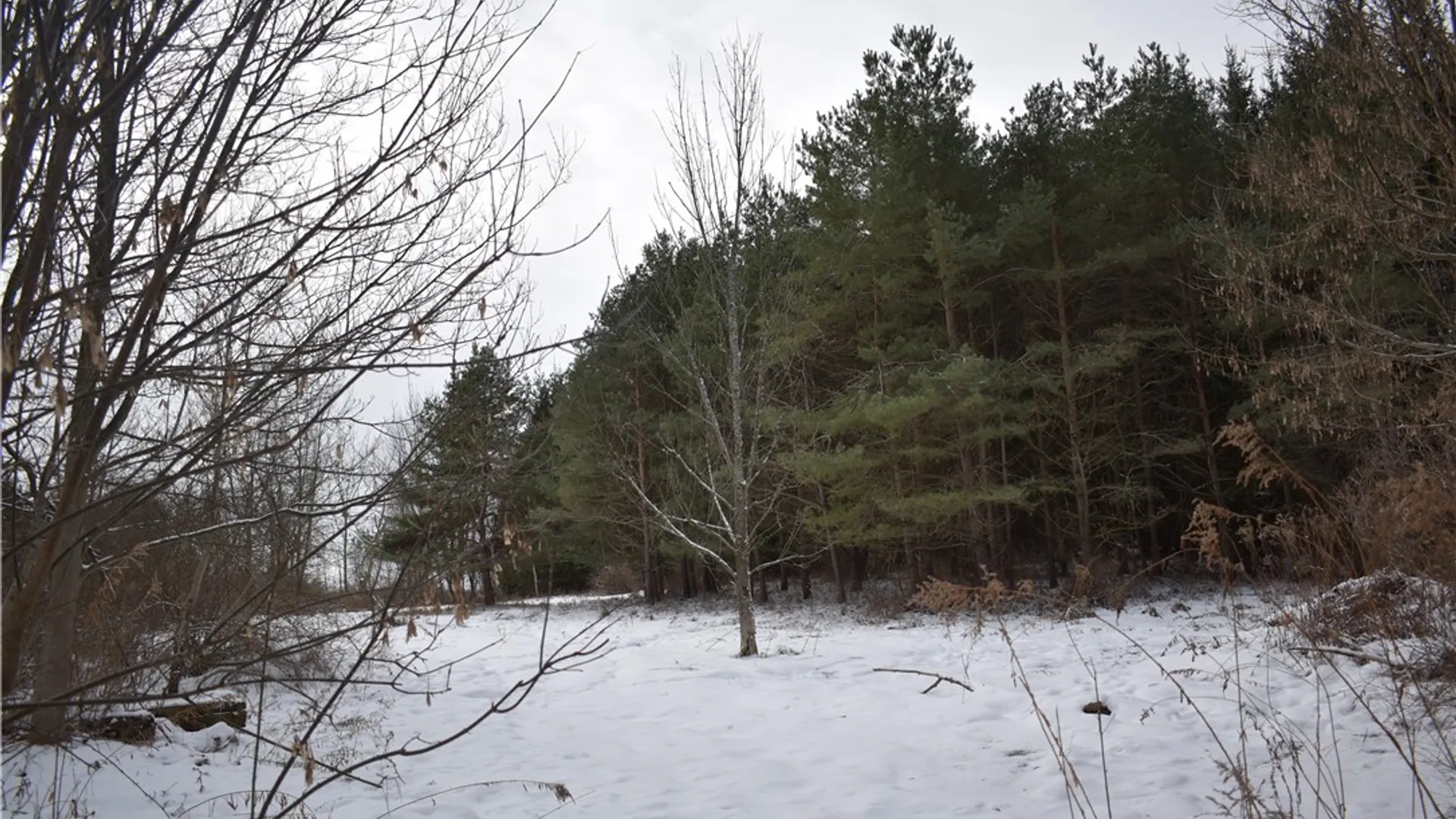 Property at 3396 Route 20A, Orangeville, NY 14167 5