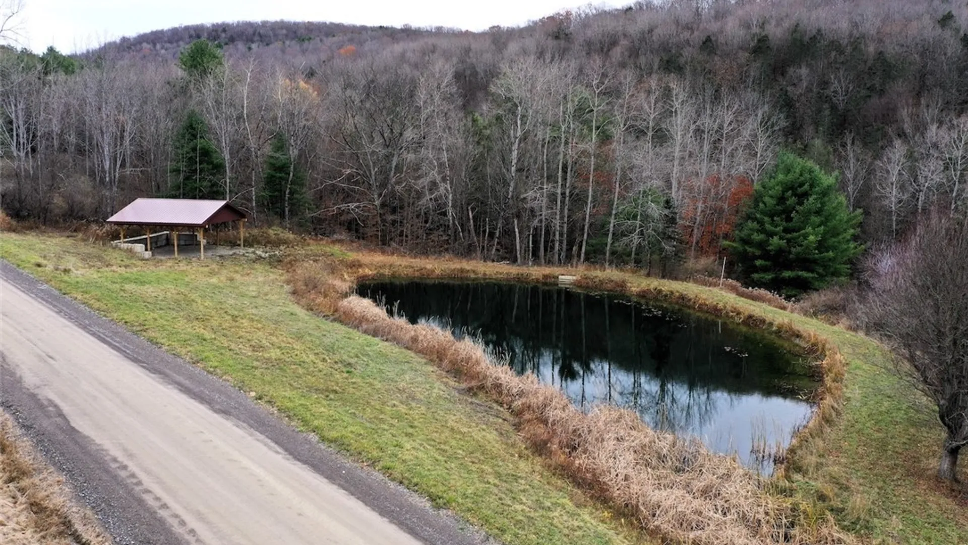 Property at 911 Purdy Hill Road, Hartsville, NY 14843 9