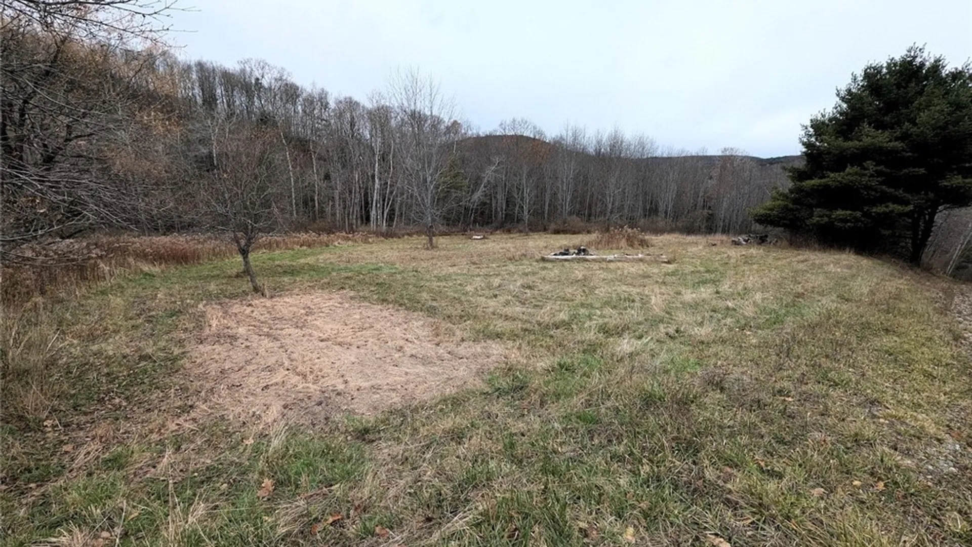 Property at 911 Purdy Hill Road, Hartsville, NY 14843 41