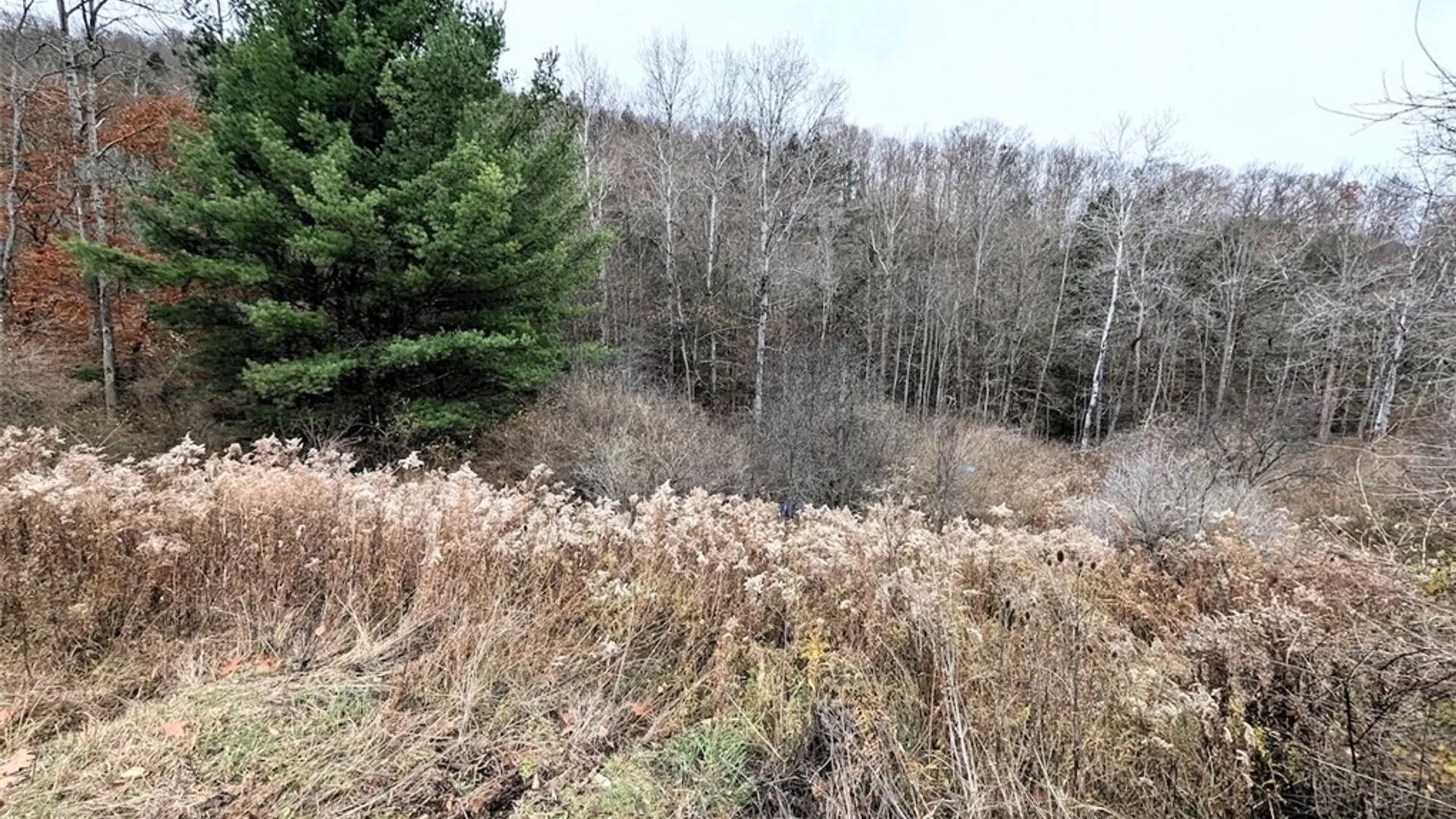 Property at 911 Purdy Hill Road, Hartsville, NY 14843 44