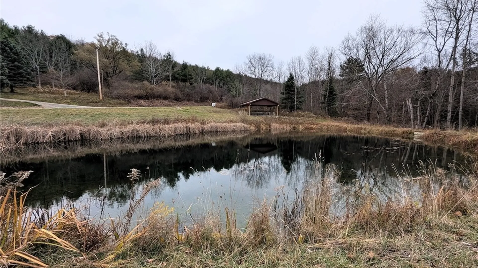 Property at 911 Purdy Hill Road, Hartsville, NY 14843 45