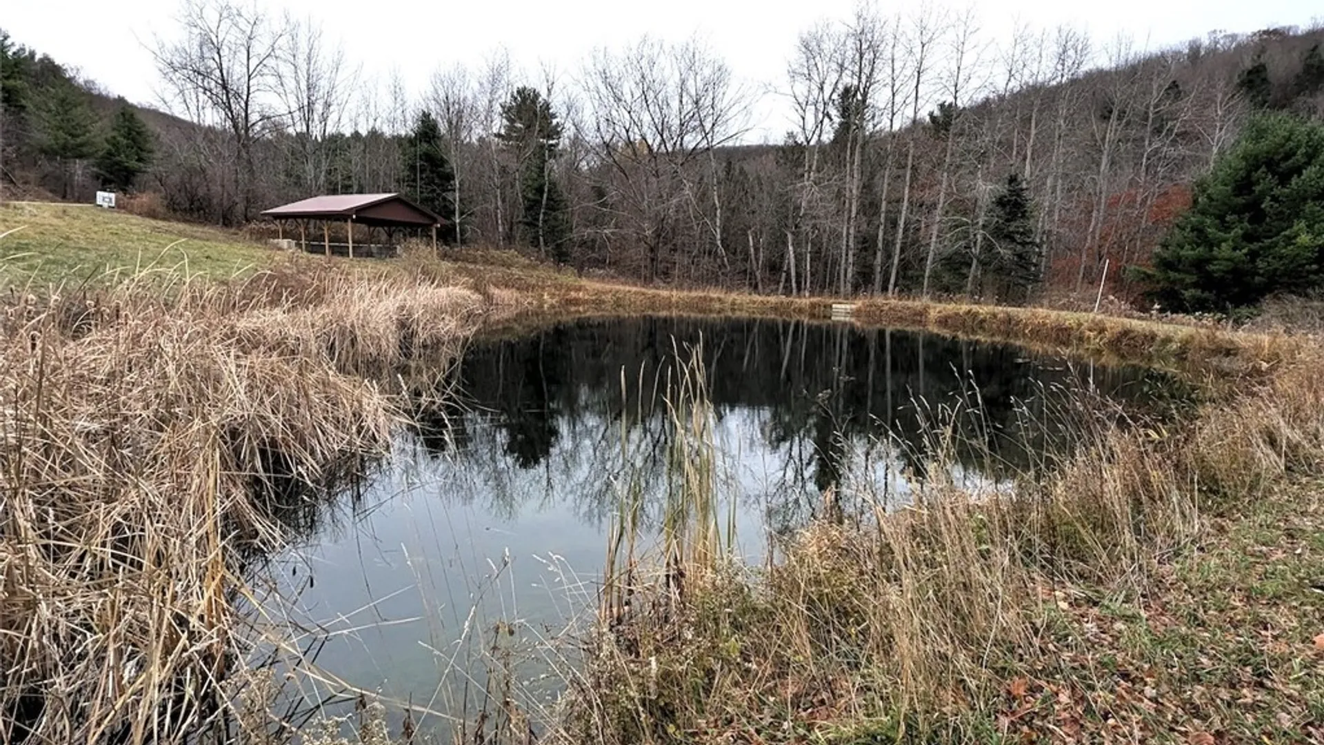 Property at 911 Purdy Hill Road, Hartsville, NY 14843 46