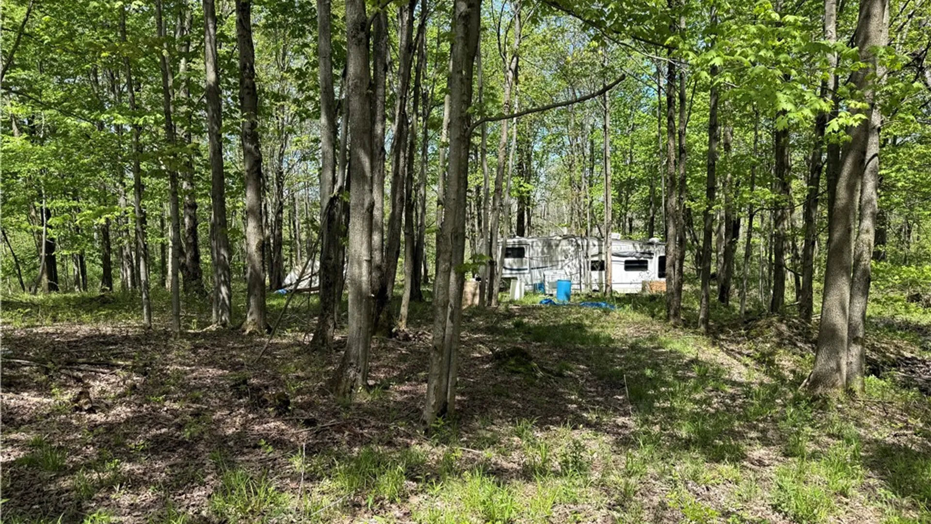 Property at 16 Deer Pond, Orangeville, NY 14569 10