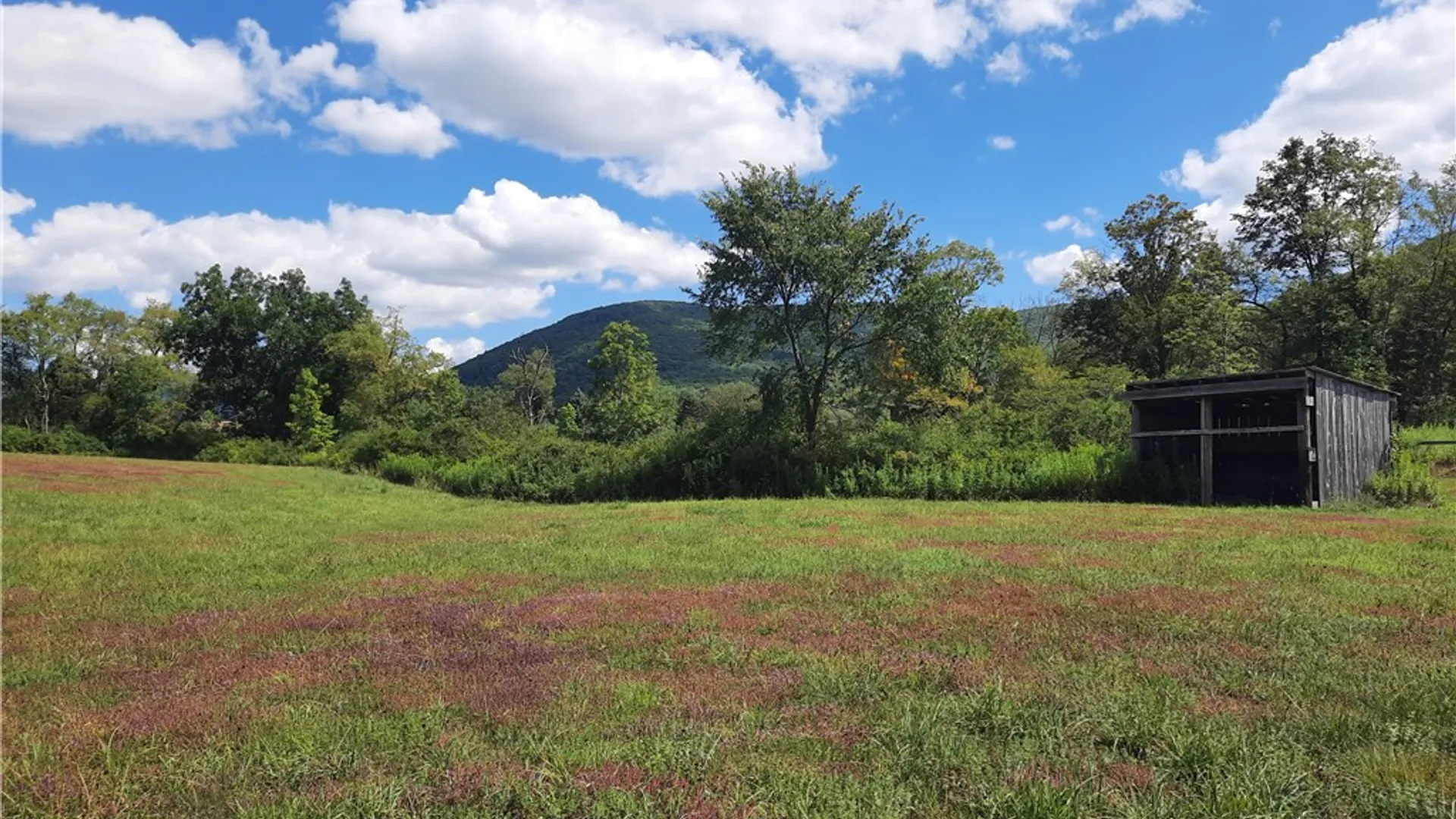 Property at County Route 41, Roxbury, NY 12474 5