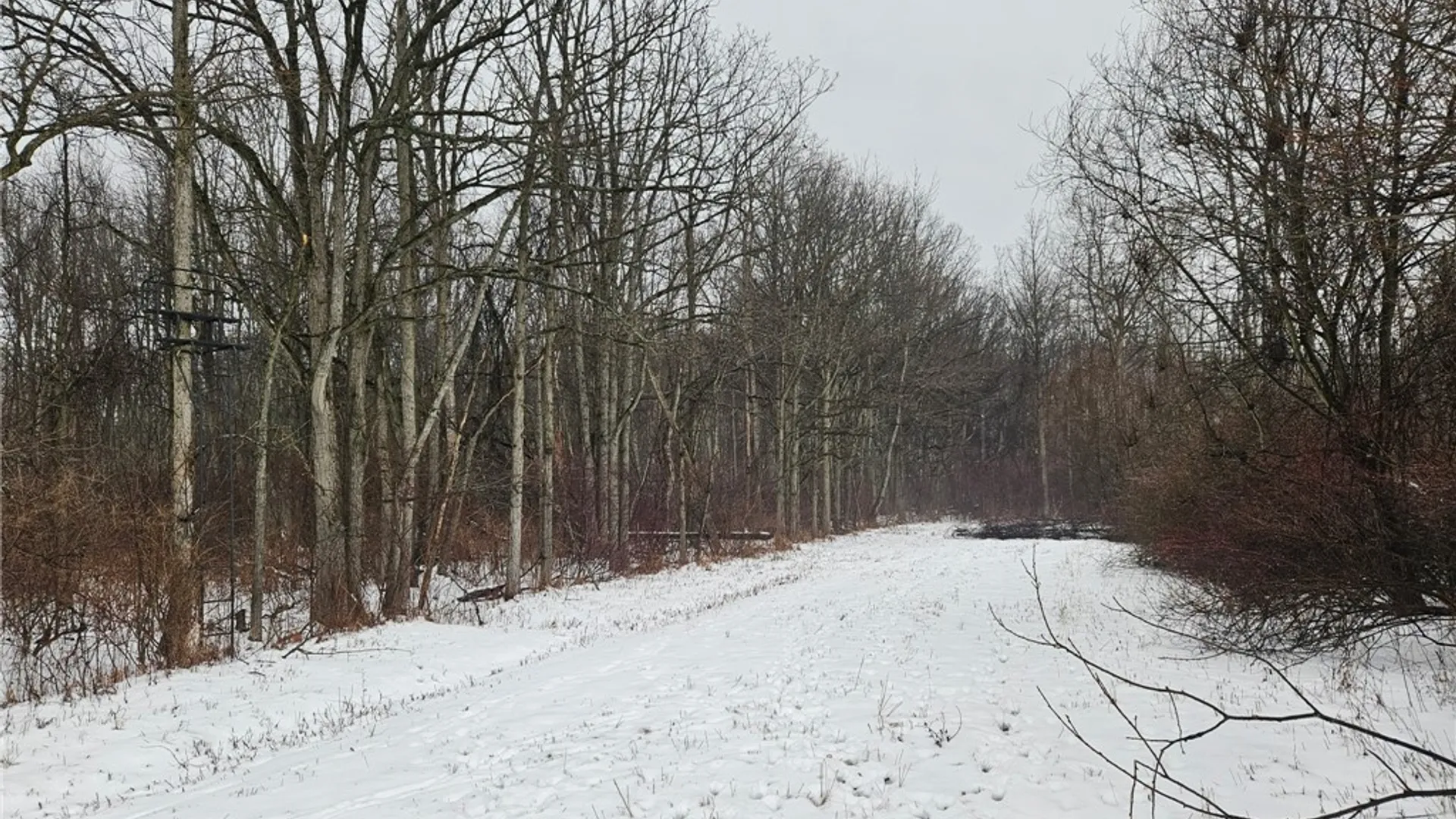 Property at 6480 Ditch Road, Royalton, NY 14105 14