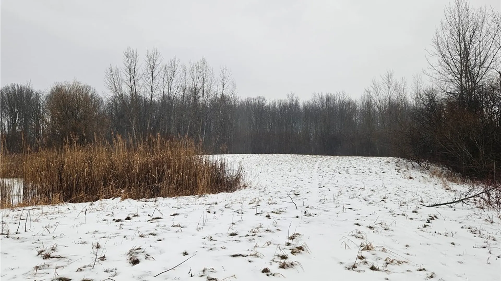 Property at 6480 Ditch Road, Royalton, NY 14105 16