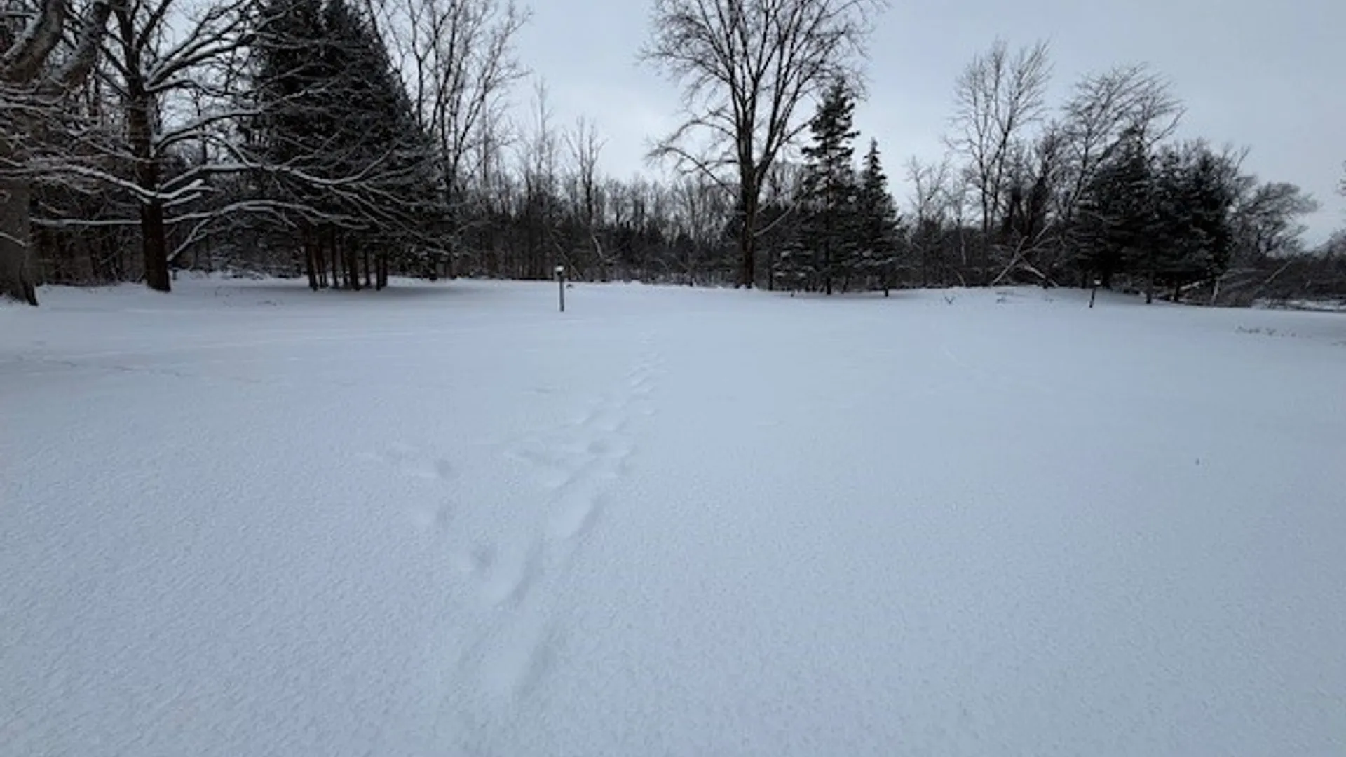 Property at 16988 Creek Road, Kendall, NY 14470 42