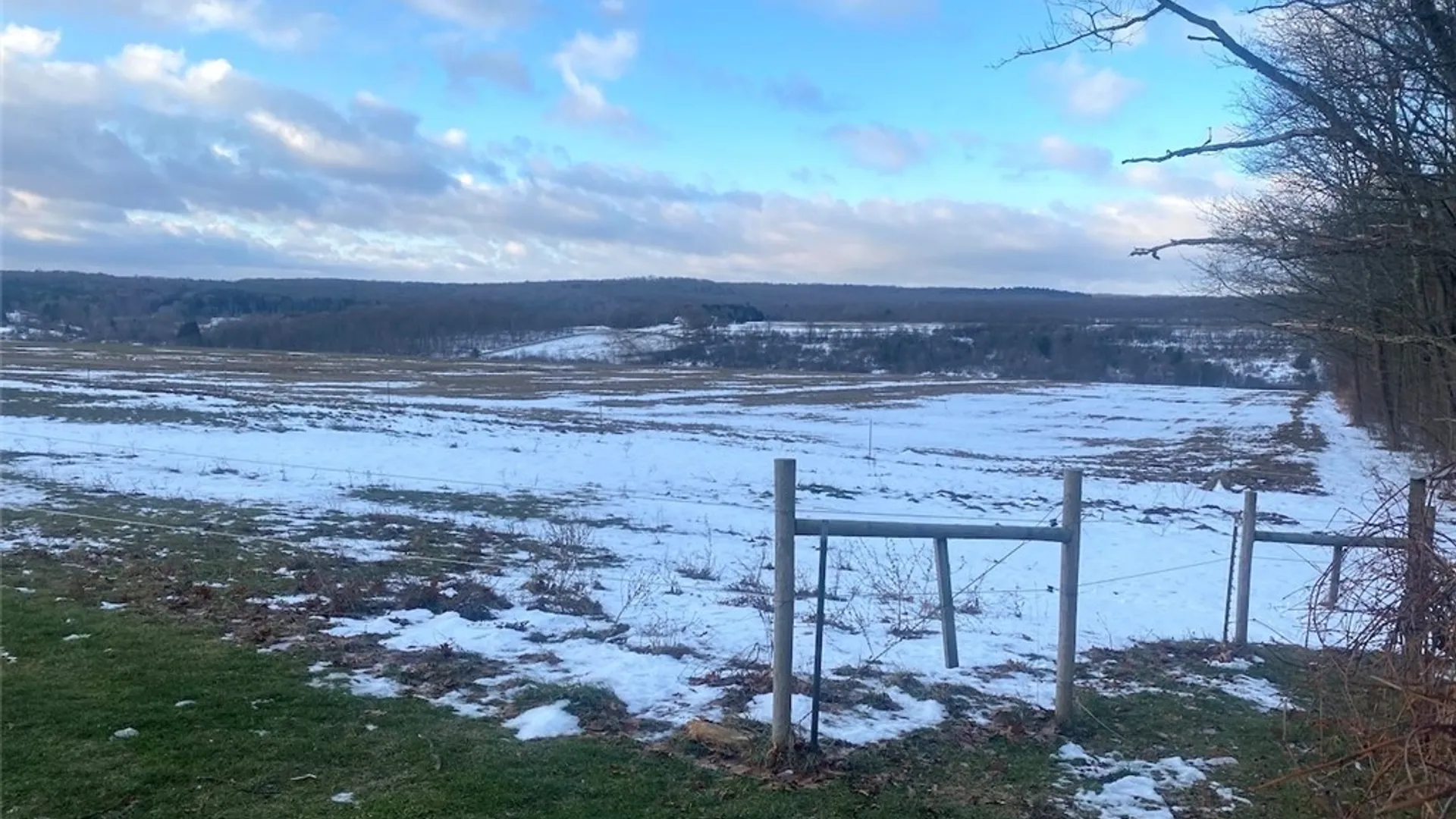 Property at 10353 Rogers Road, Centerville, NY 14735 44