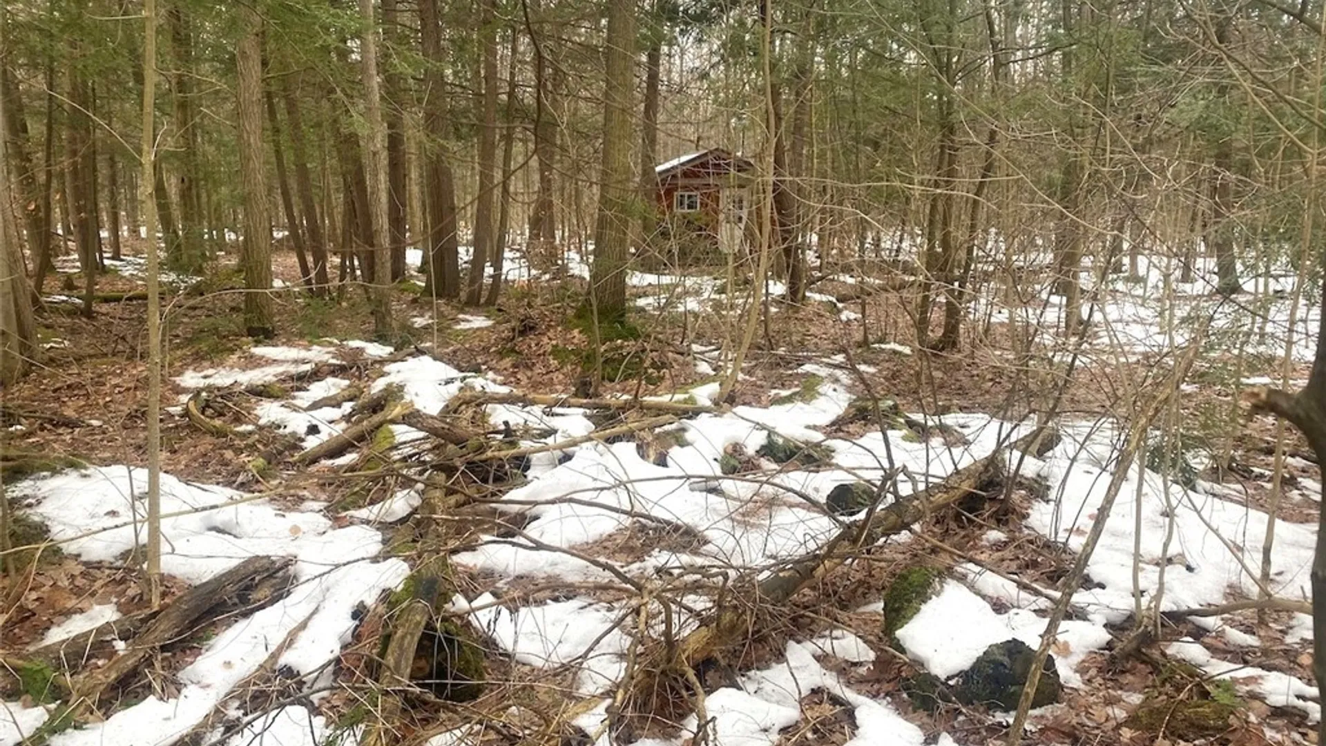 Property at 10353 Rogers Road, Centerville, NY 14735 47