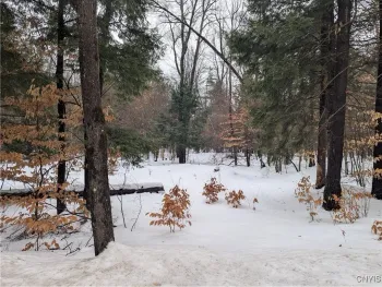 Property at 7418 Pennysettlement Road, Lyonsdale, NY 13433