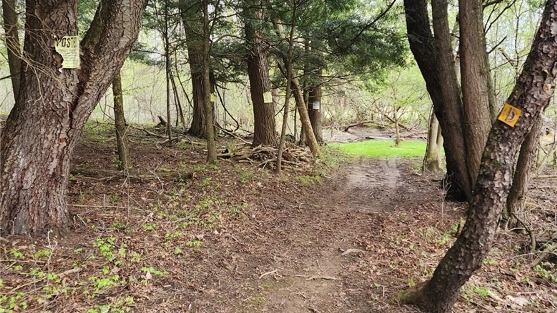 Property at 32108 County Route 143, Champion, NY 13612 44