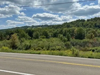 Property at Malone Road, Birdsall, NY 14822