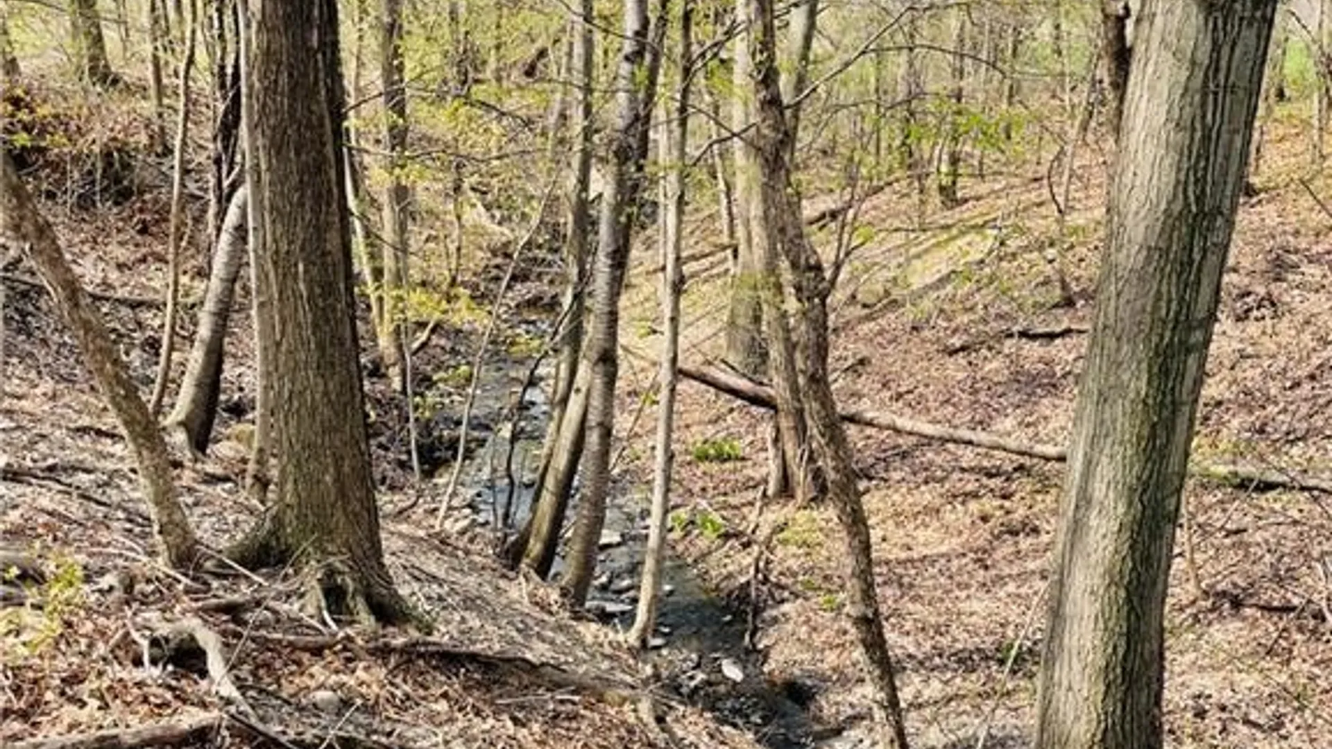 Property at Rt-14, Torrey, NY 14878 10
