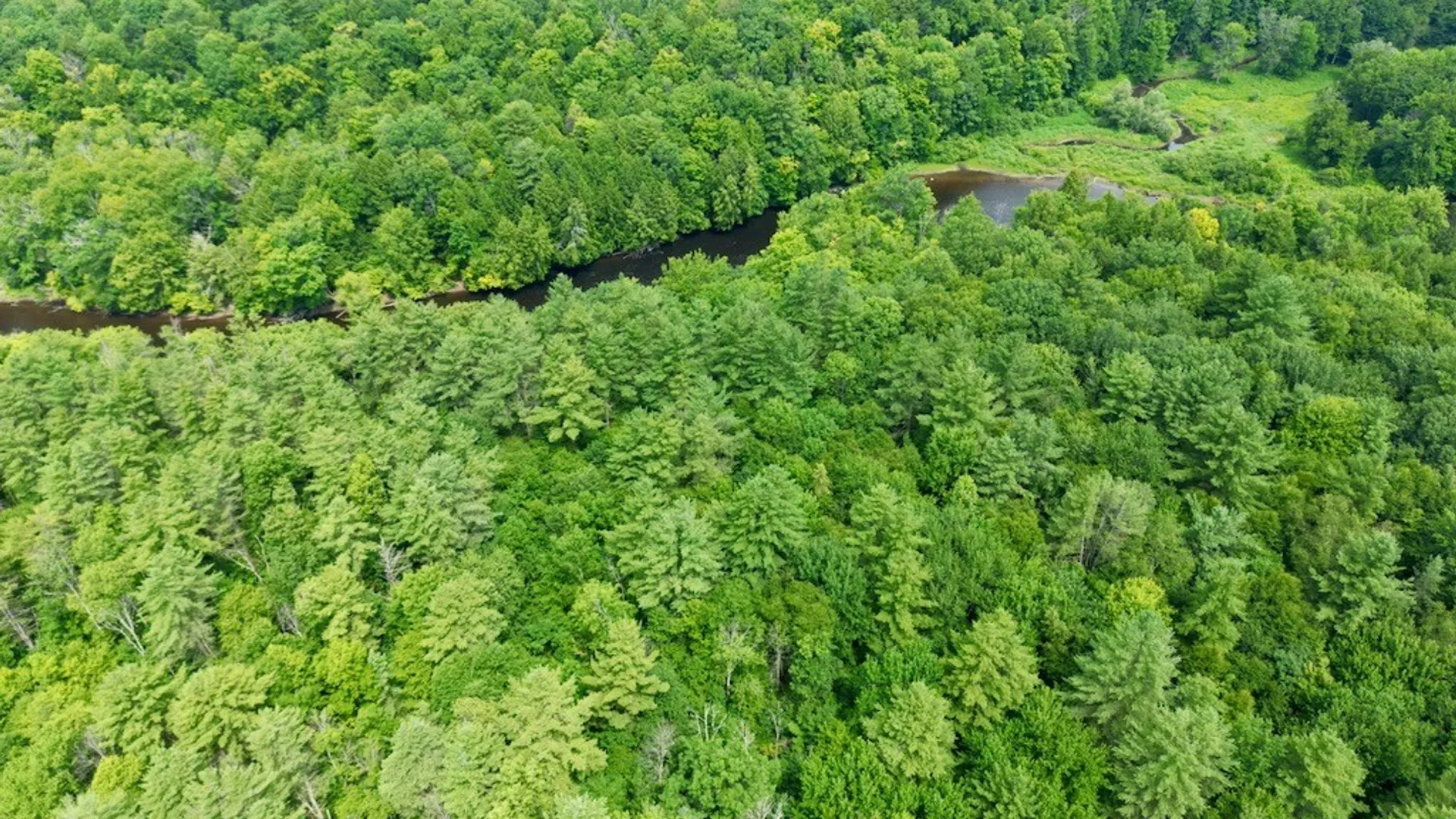 Property at 3056 - 3066 State Route 13, Albion, NY 13142 36