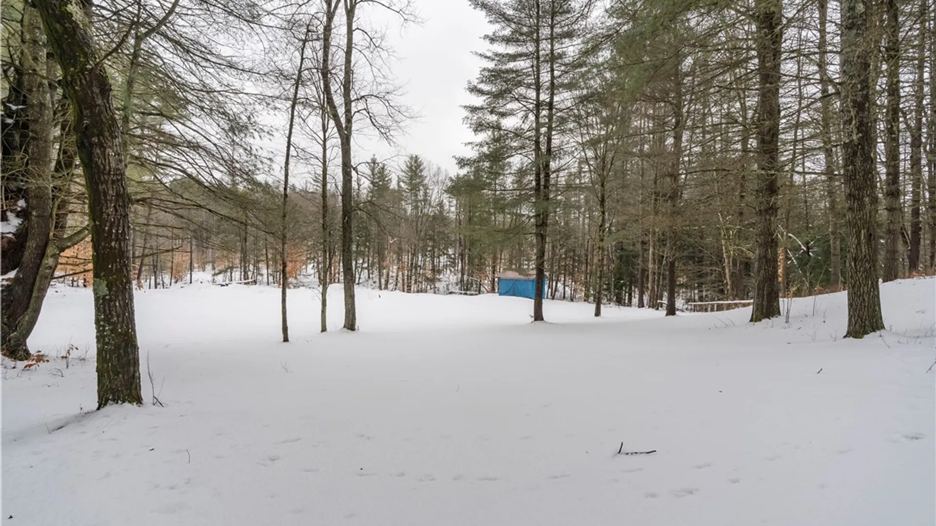 Property at 7750 Number Four Road, New Bremen, NY 13367 11