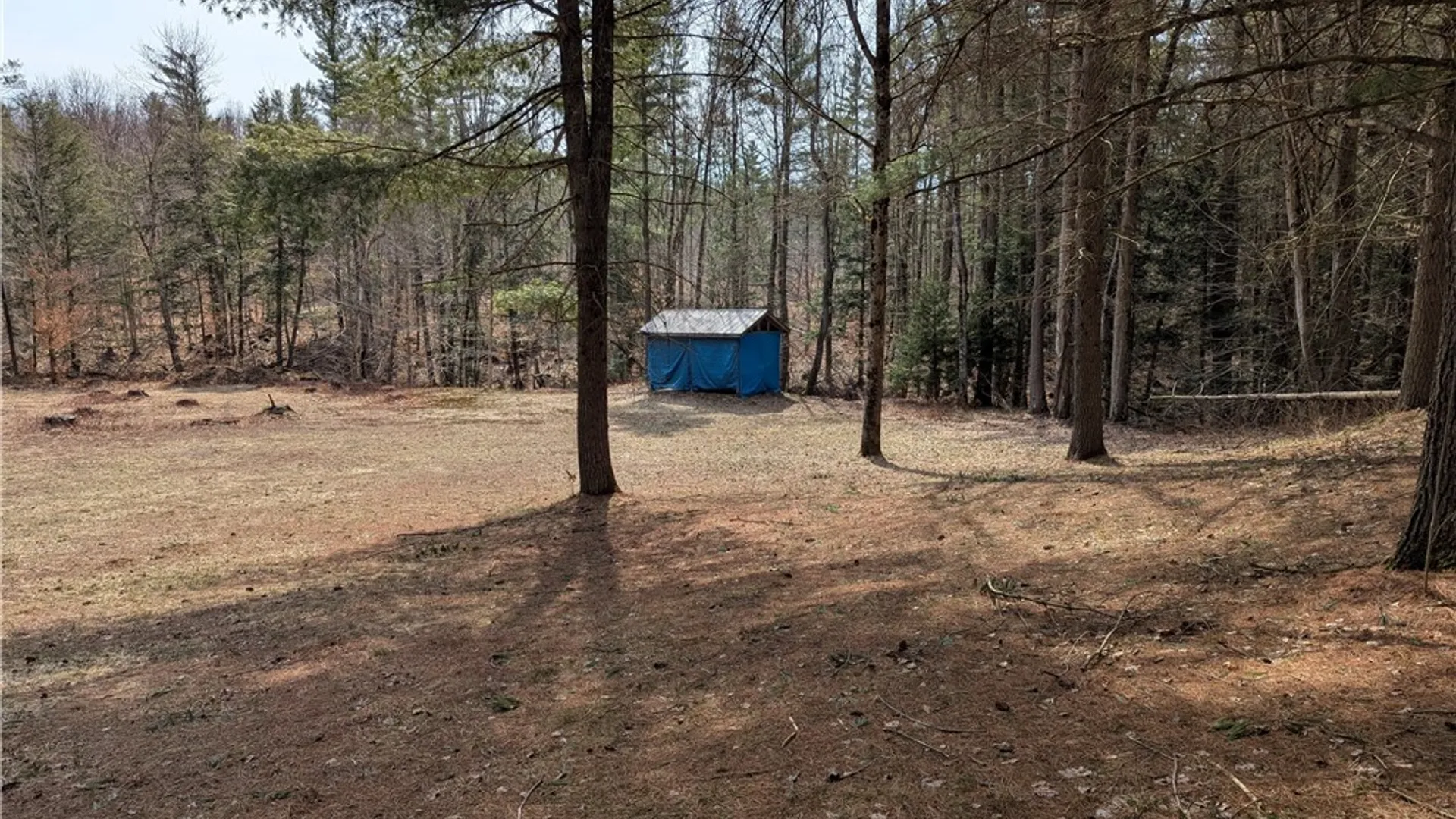 Property at 7750 Number Four Road, New Bremen, NY 13367 4