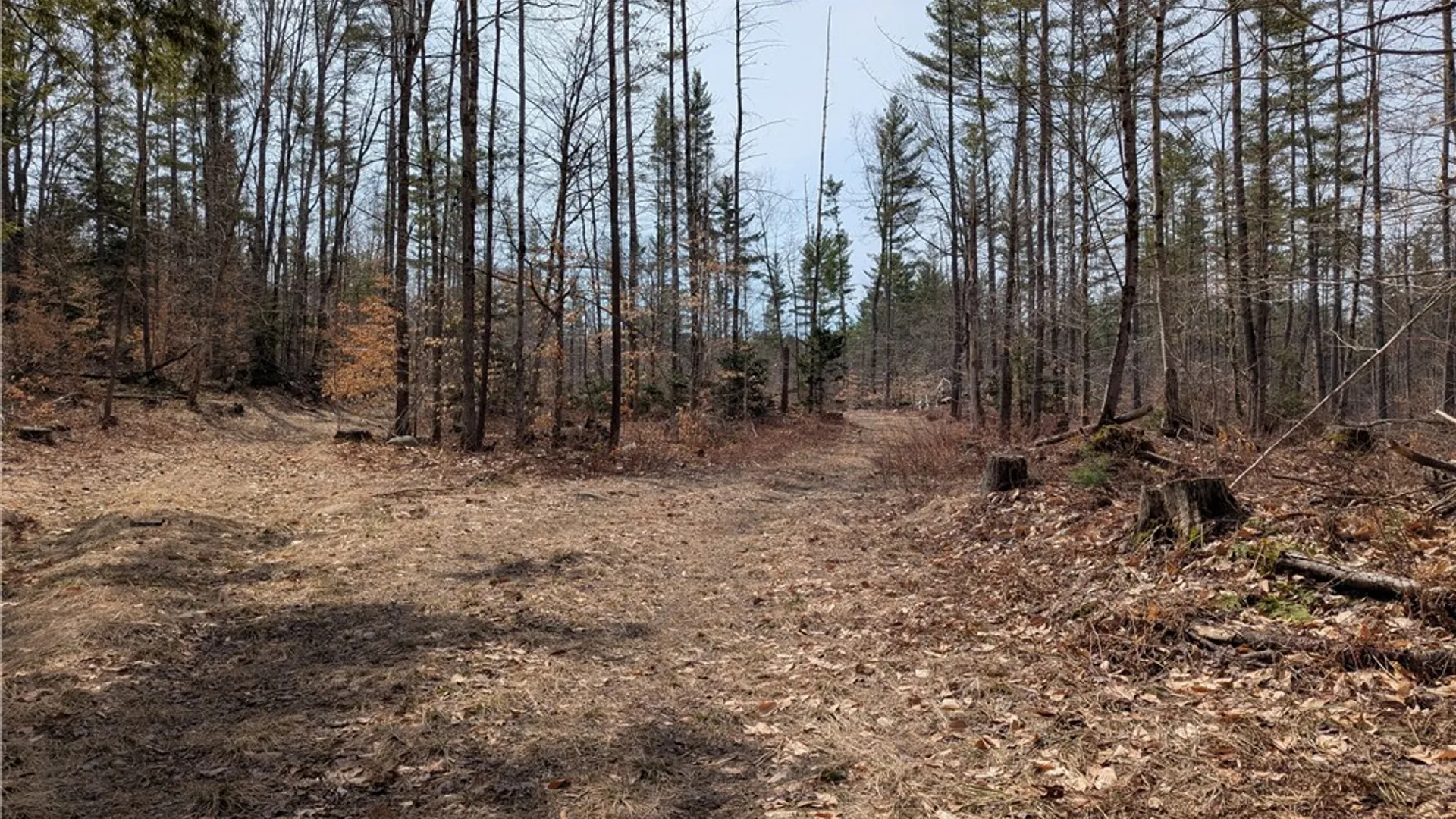 Property at 7750 Number Four Road, New Bremen, NY 13367 8