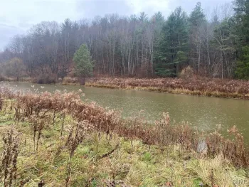 Property at 4236 Blouvet Road, Friendship, NY 14739