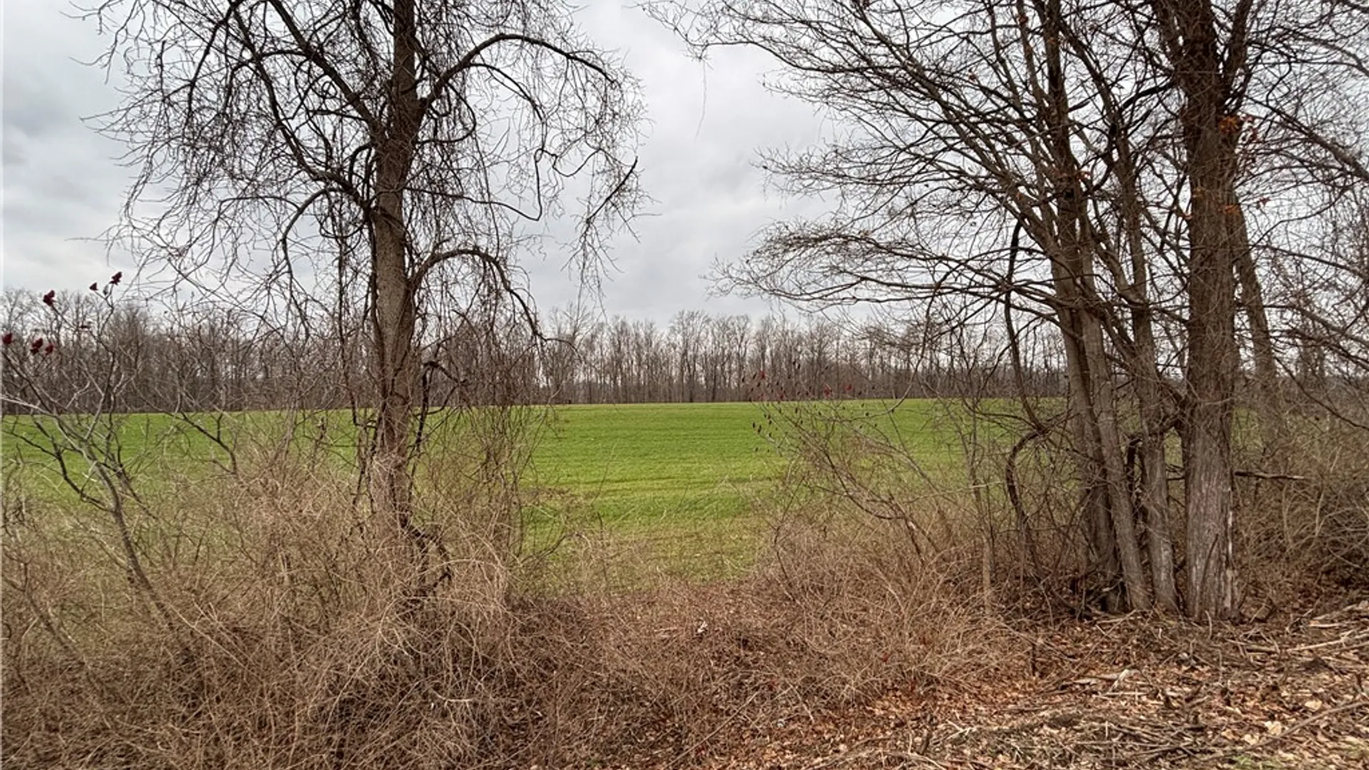 Property at Lyon Rd, Palmyra, NY 14522 3