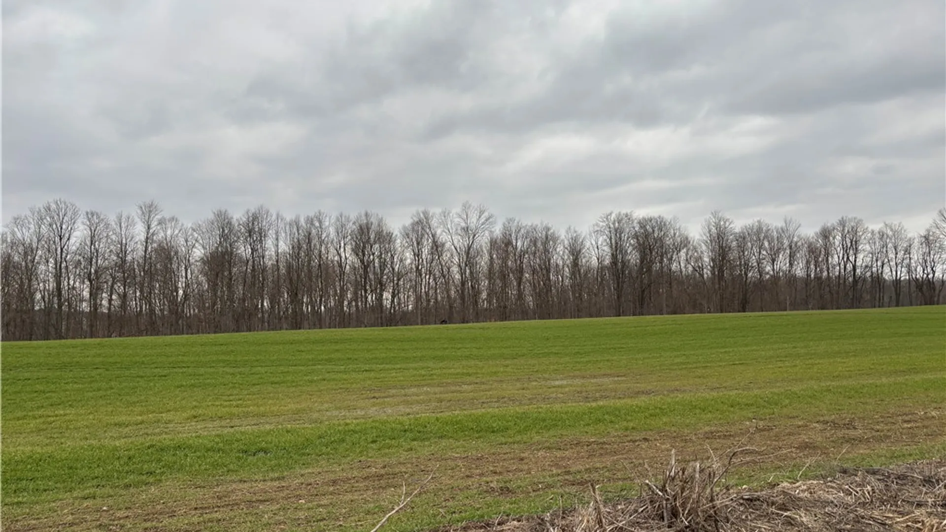 Property at Lyon Rd, Palmyra, NY 14522 4