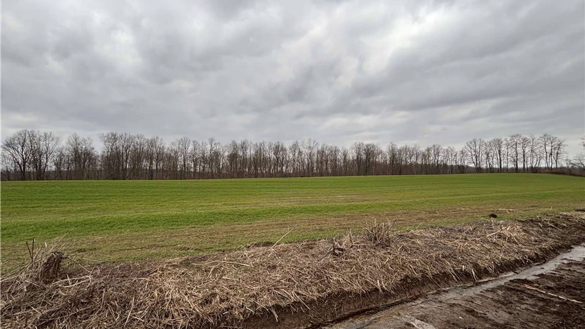 Property at Lyon Rd, Palmyra, NY 14522 5