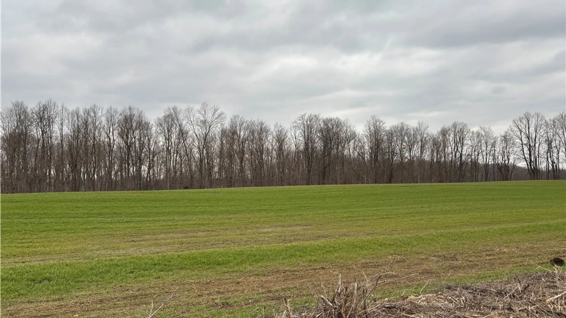 Property at Lyon Rd, Palmyra, NY 14522 6