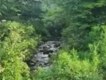 Property at 001 Lot A Bowen Road, Randolph, NY 14772