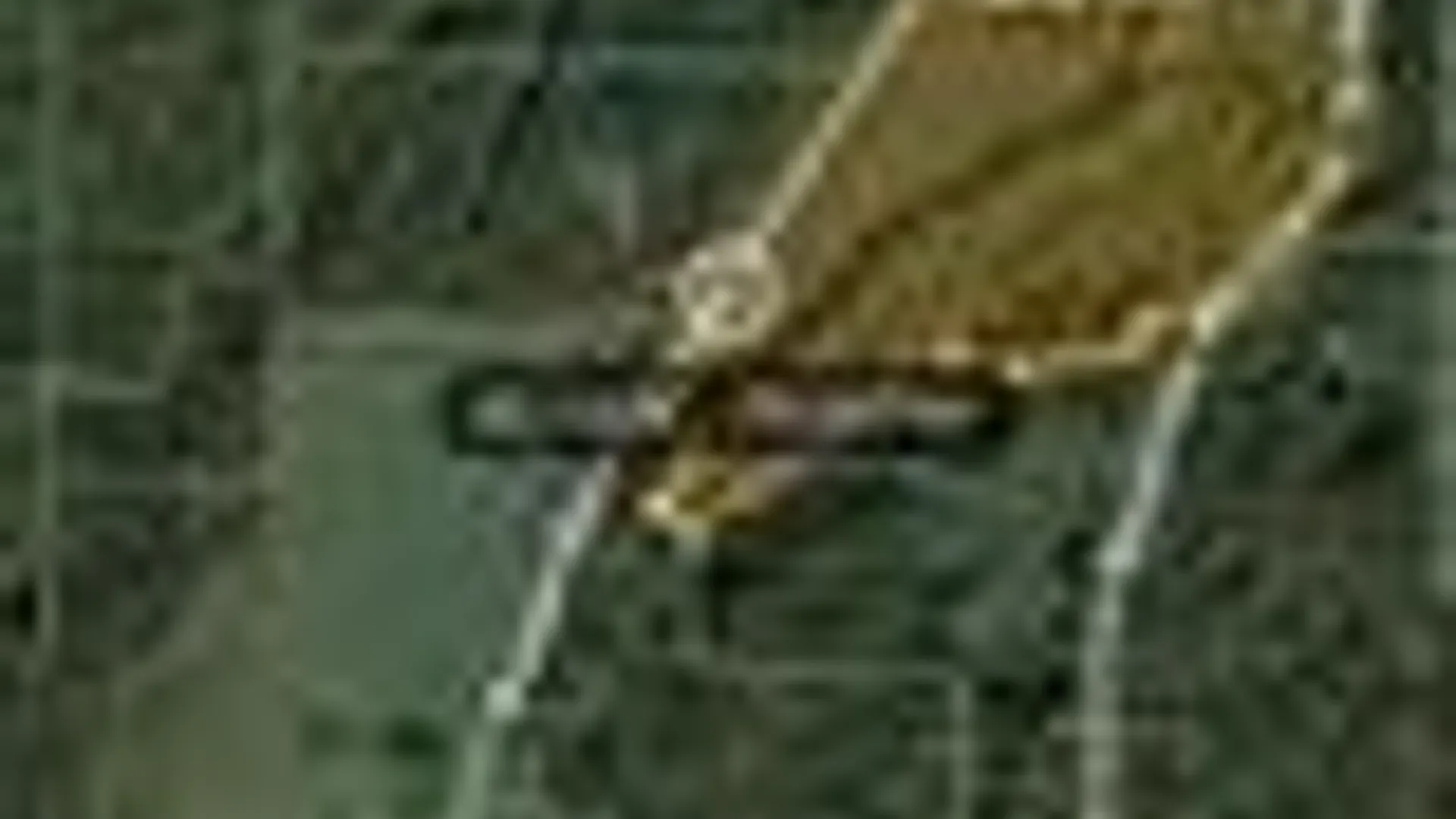 Property at 001 Lot A Bowen Road, Randolph, NY 14772 3
