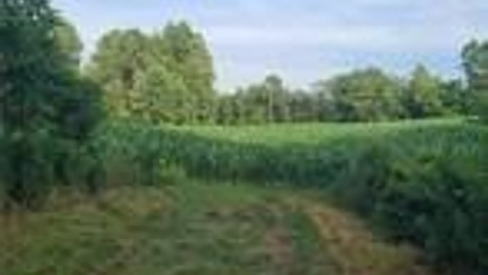 Property at 001 Lot A Bowen Road, Randolph, NY 14772 4