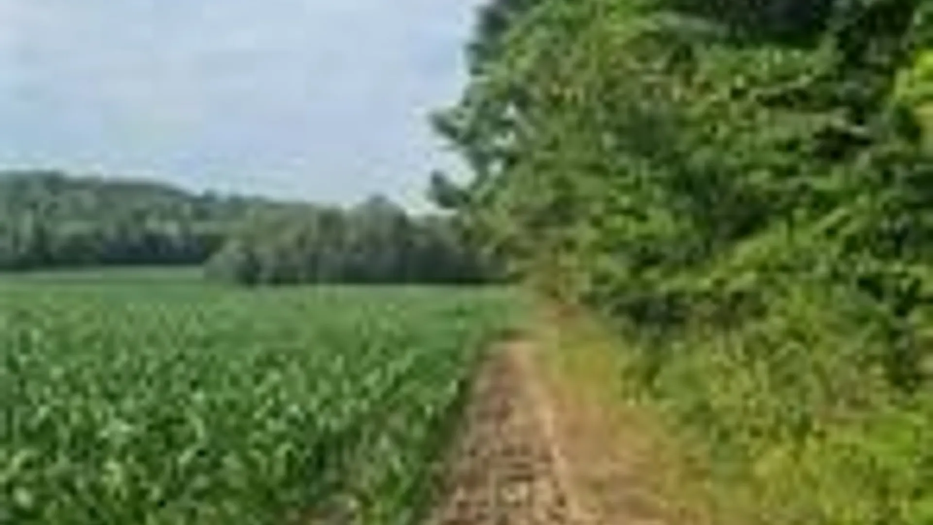 Property at 001 Lot A Bowen Road, Randolph, NY 14772 8