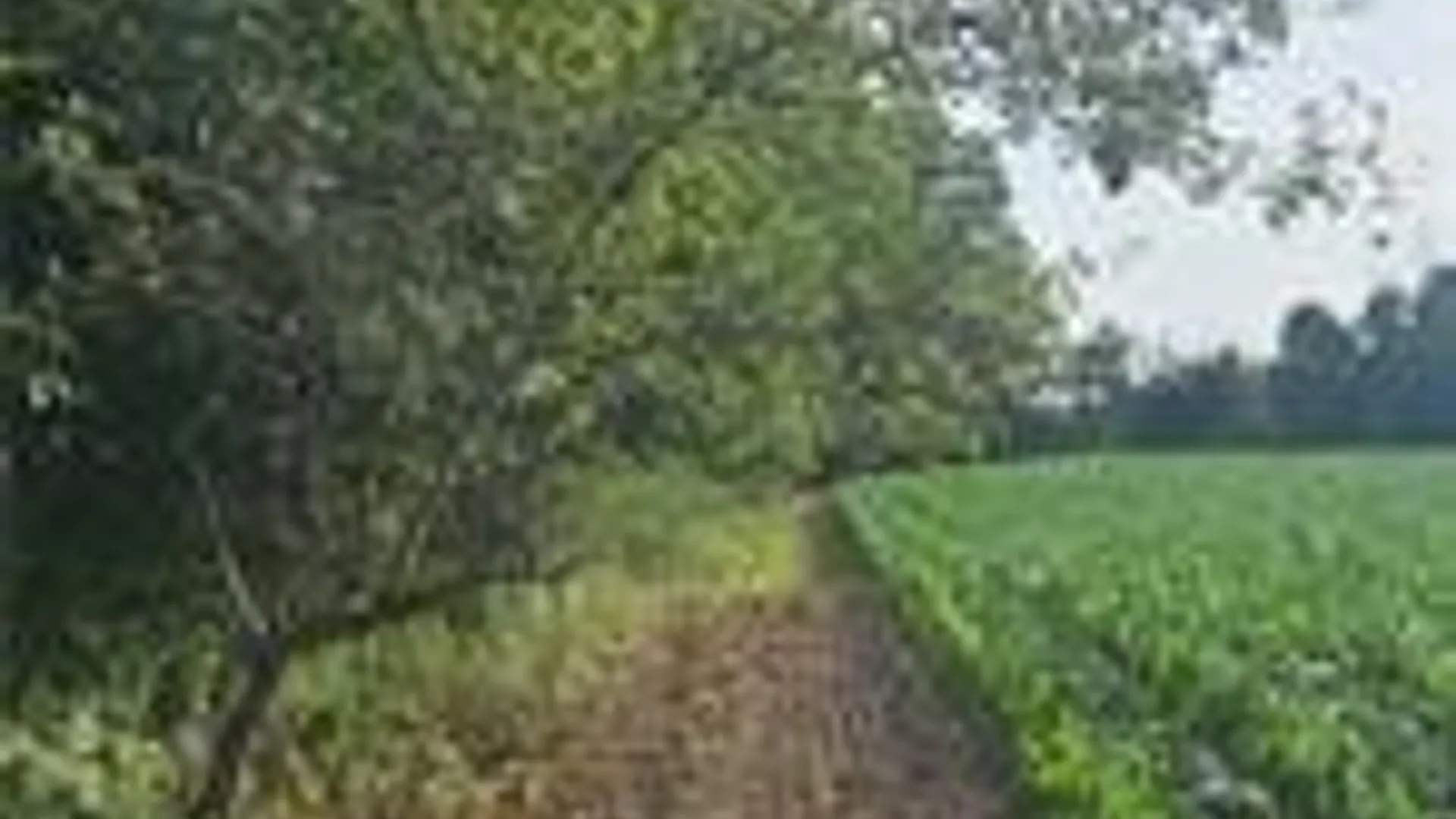 Property at 001 Lot A Bowen Road, Randolph, NY 14772 11