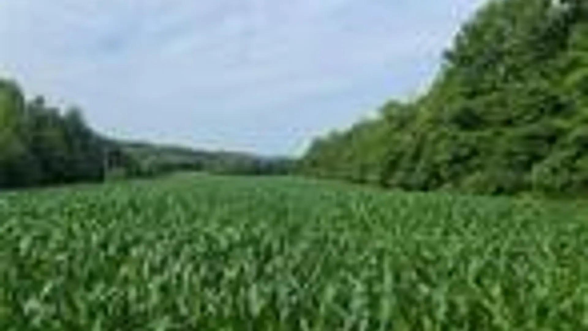 Property at 001 Lot A Bowen Road, Randolph, NY 14772 14