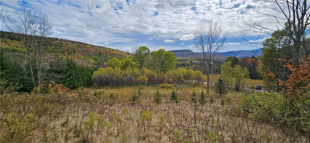 Property at Shaver Hollow, Andes, NY 13731
