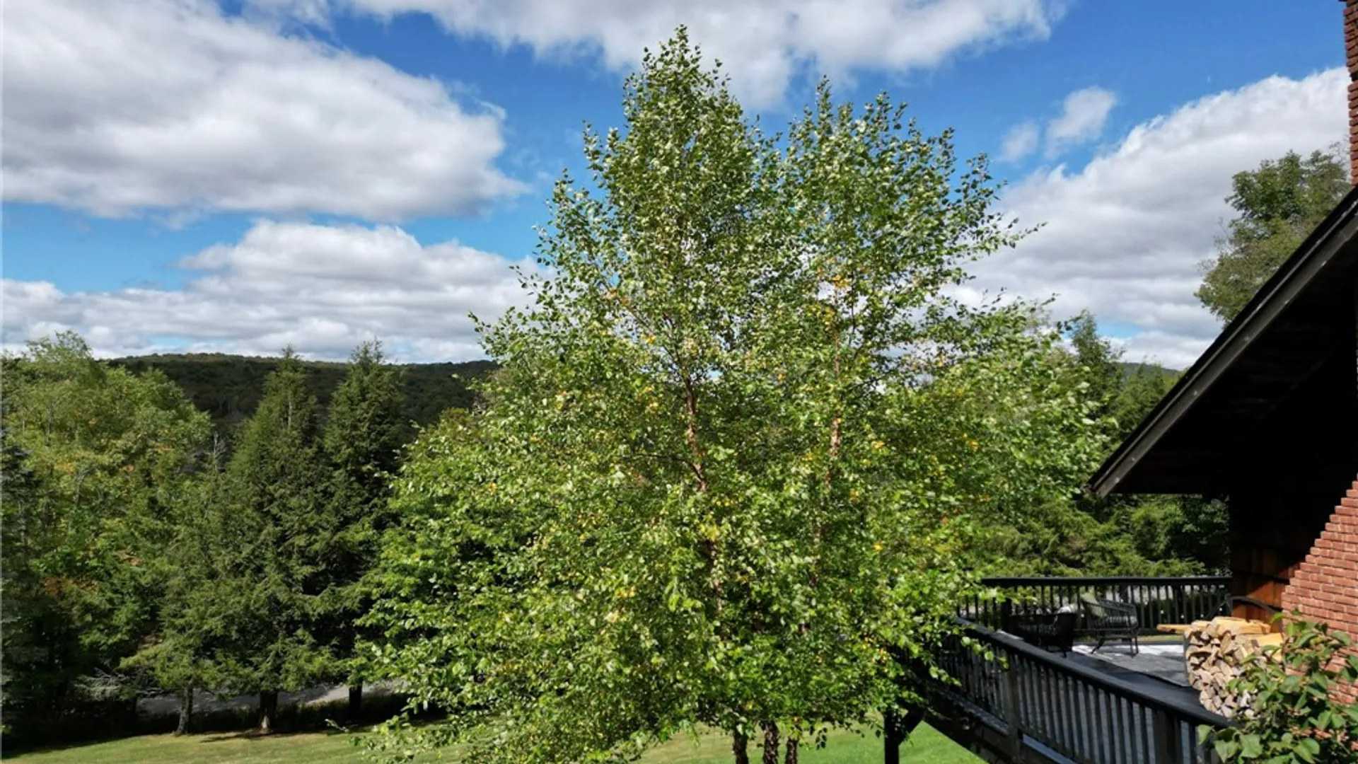 Property at 235 John B. Hewitt Road, Roxbury, NY 12421 45