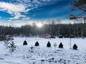 Property at 9306 Snake Run Road, East Otto, NY 14729