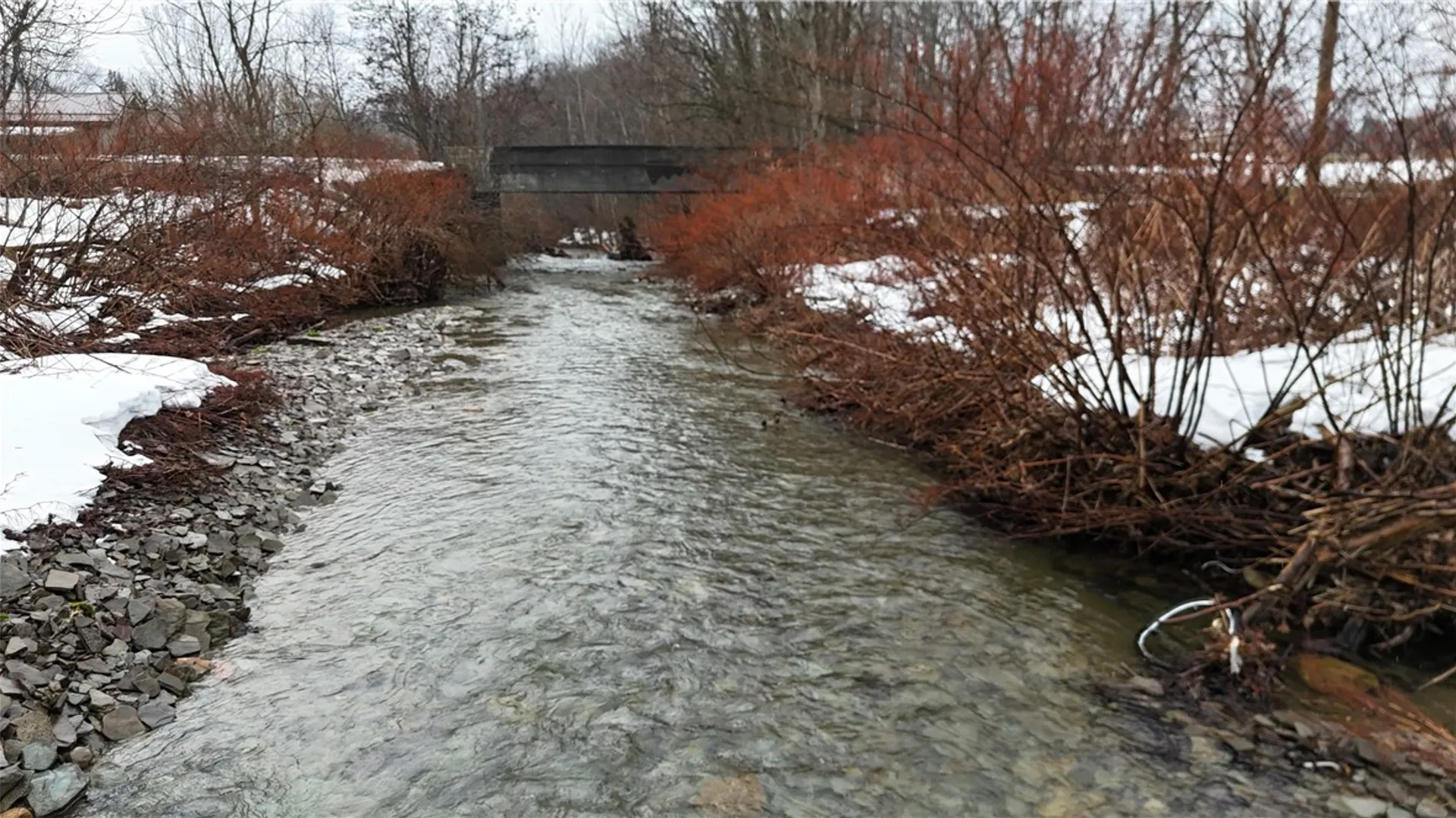 Property at 4630 Damon Hill Road, Gerry, NY 14782 6