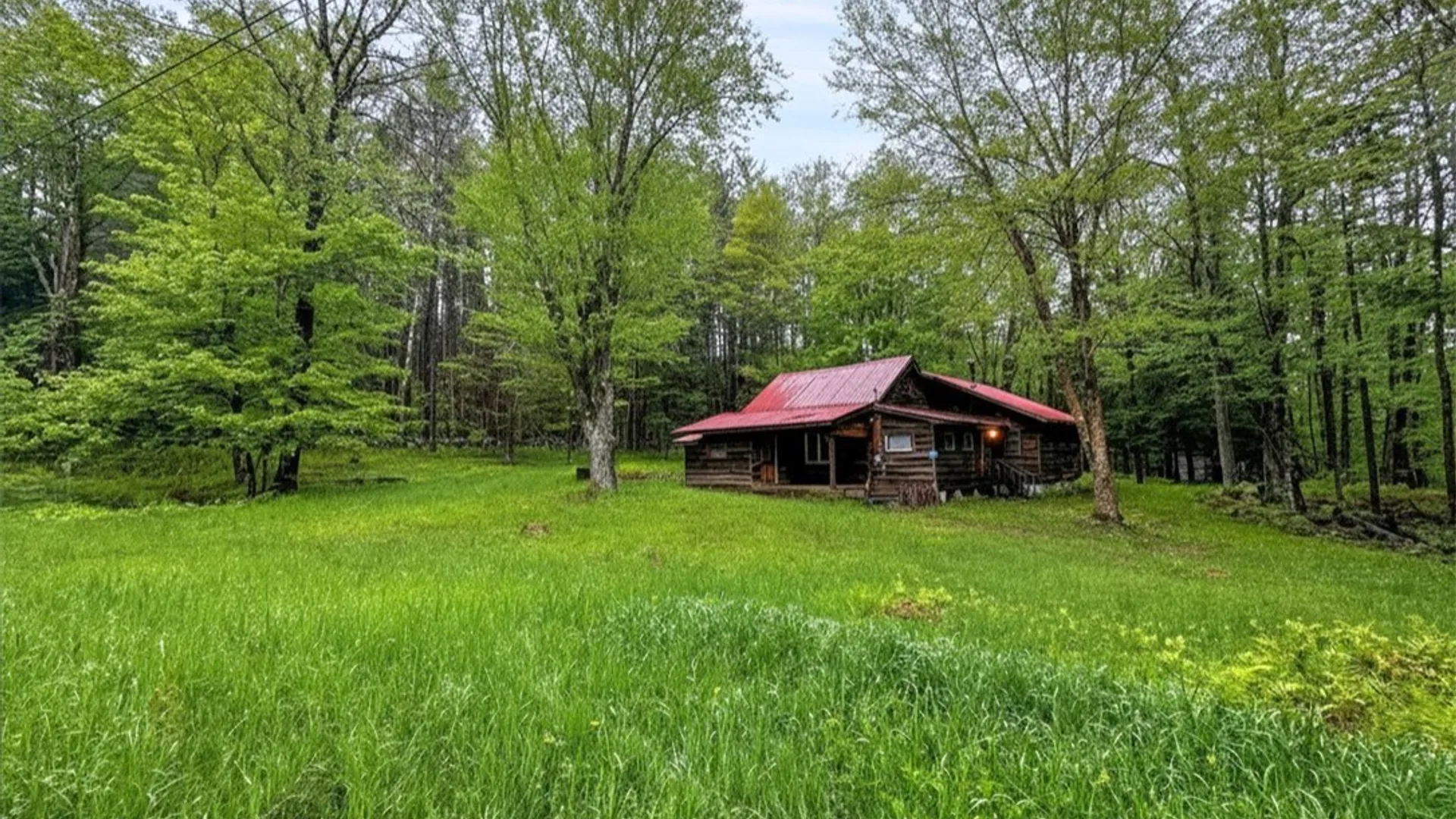 Property at 1848 Gray Wilmurt Road, Ohio, NY 13324 24