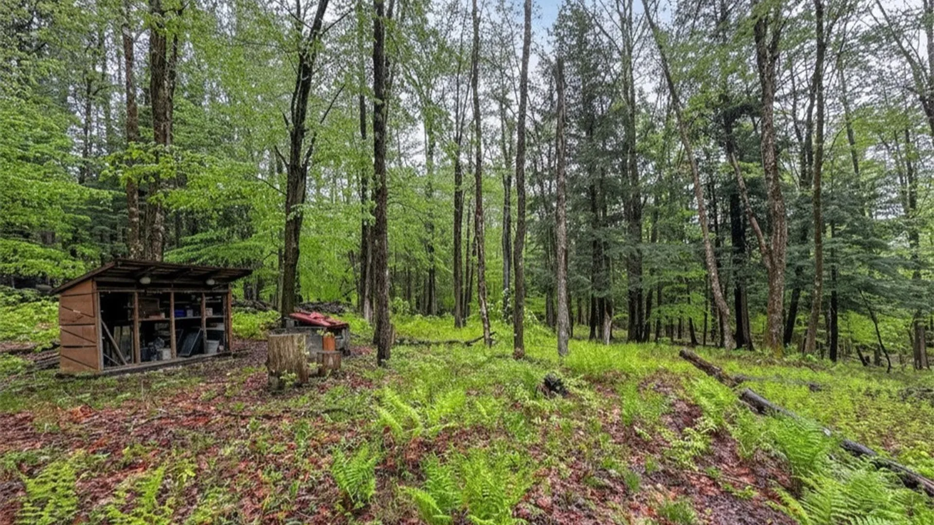 Property at 1848 Gray Wilmurt Road, Ohio, NY 13324 35