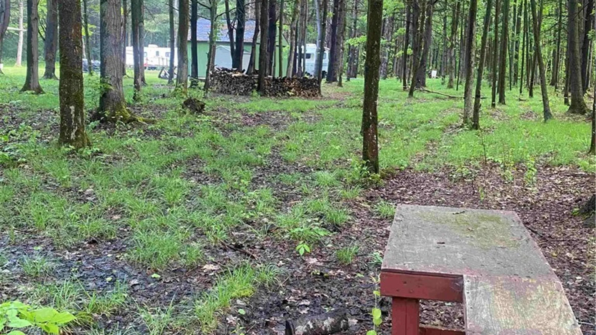 Property at Searles Road, Belfast, NY 14711 21