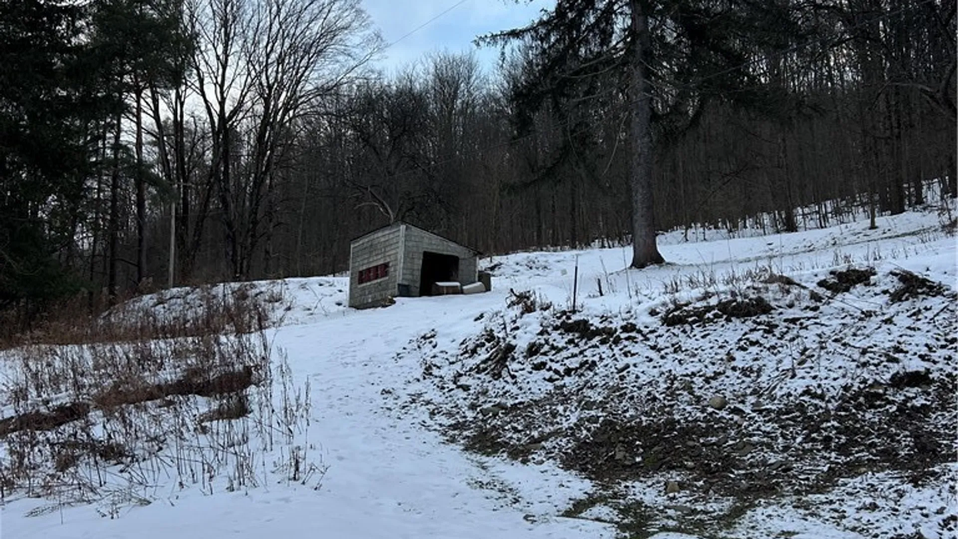 Property at 3023 W River Road, Virgil, NY 13045 5