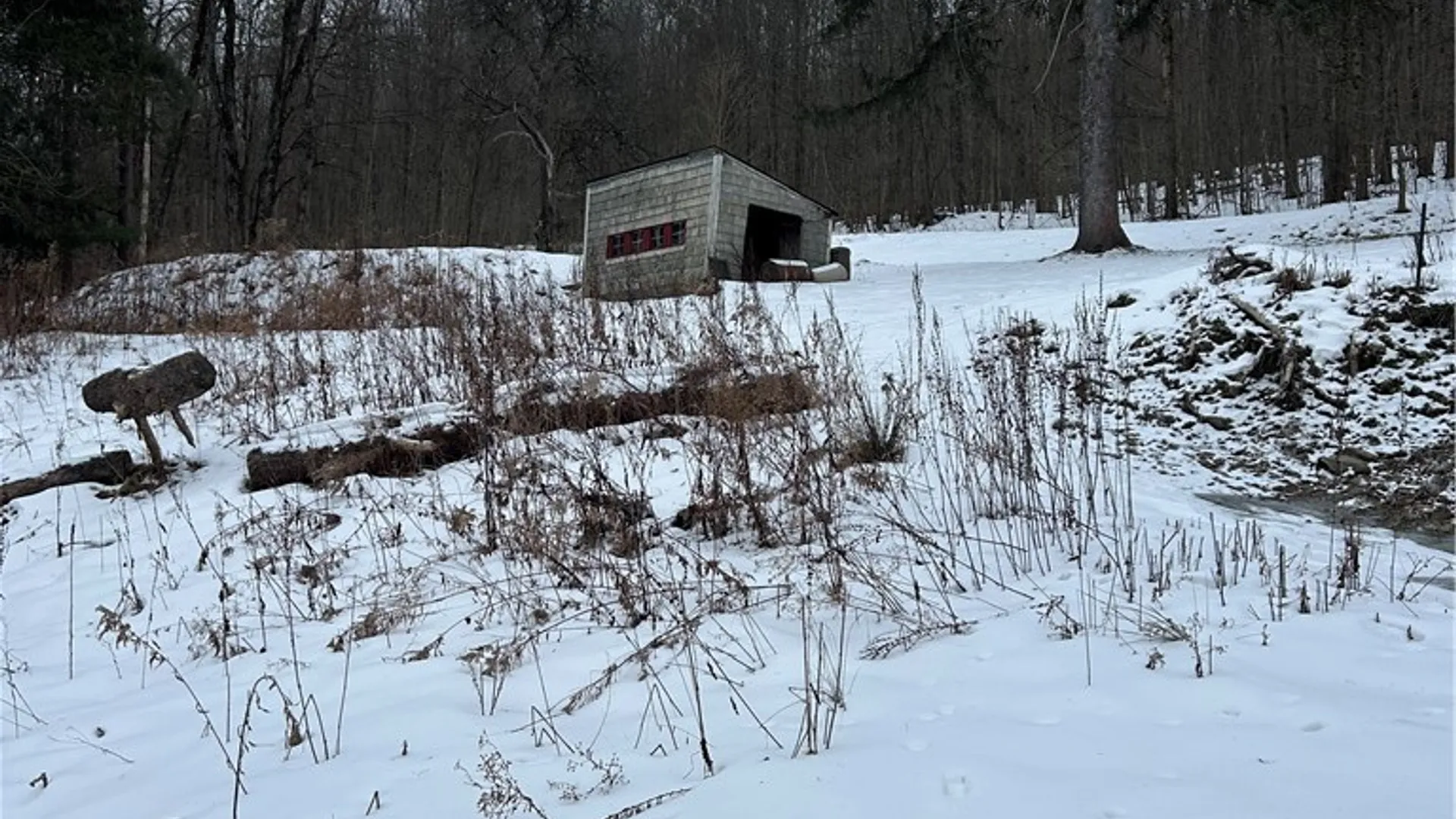 Property at 3023 W River Road, Virgil, NY 13045 8