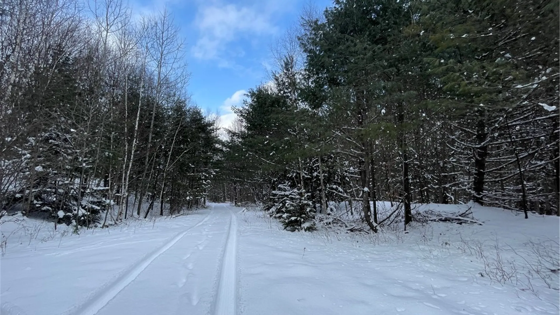 Property at State Route 10, Jefferson, NY 12093 19