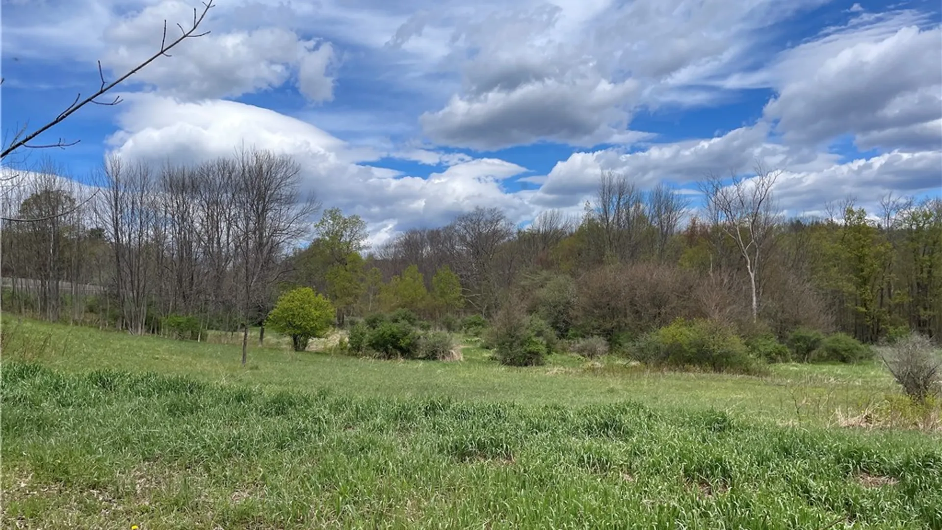 Property at State Route 10, Jefferson, NY 12093 3