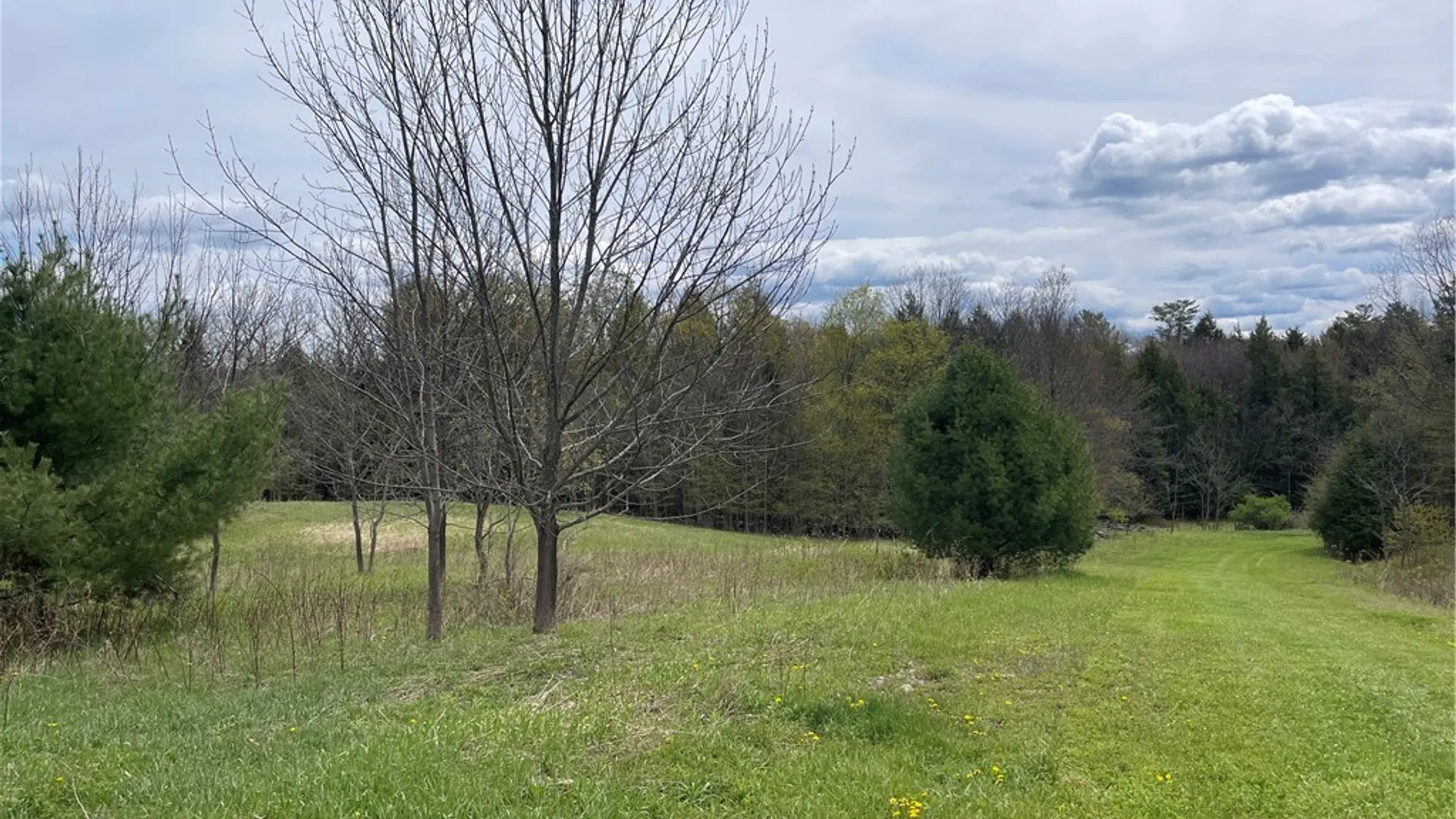 Property at State Route 10, Jefferson, NY 12093 4