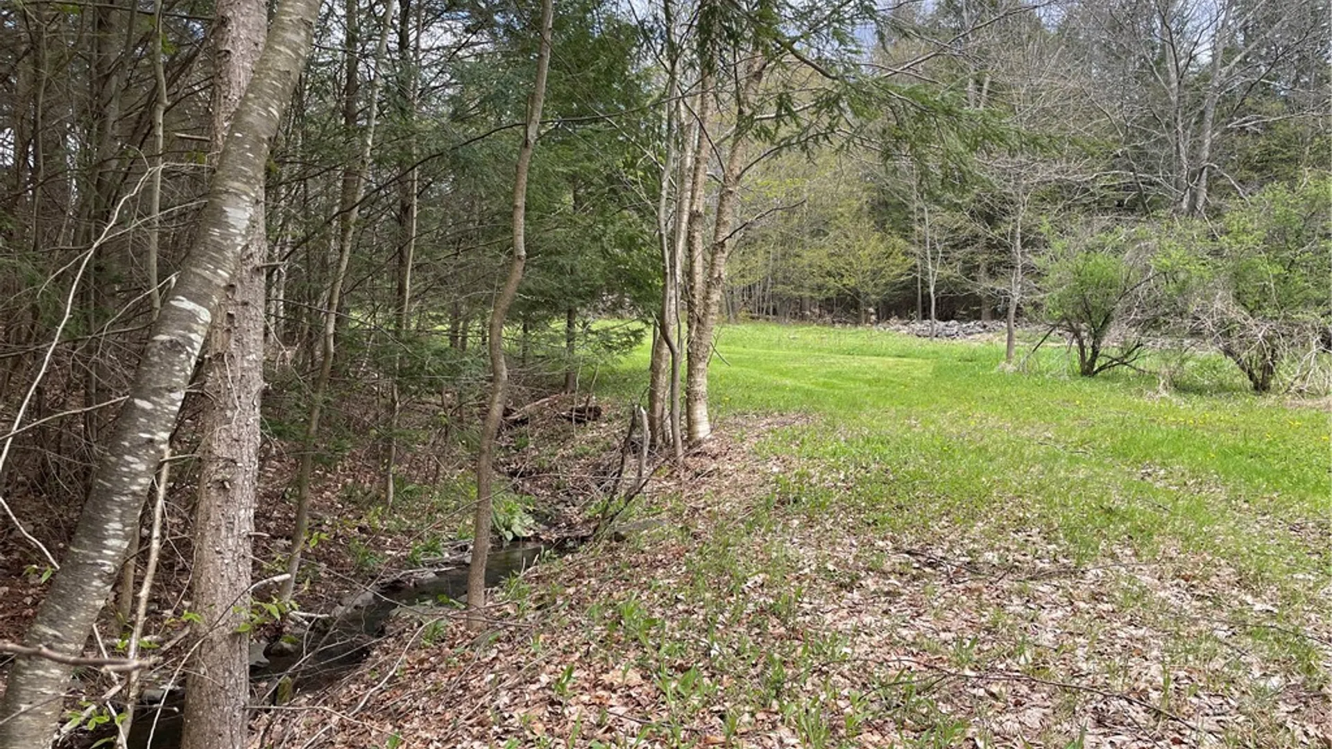 Property at State Route 10, Jefferson, NY 12093 5
