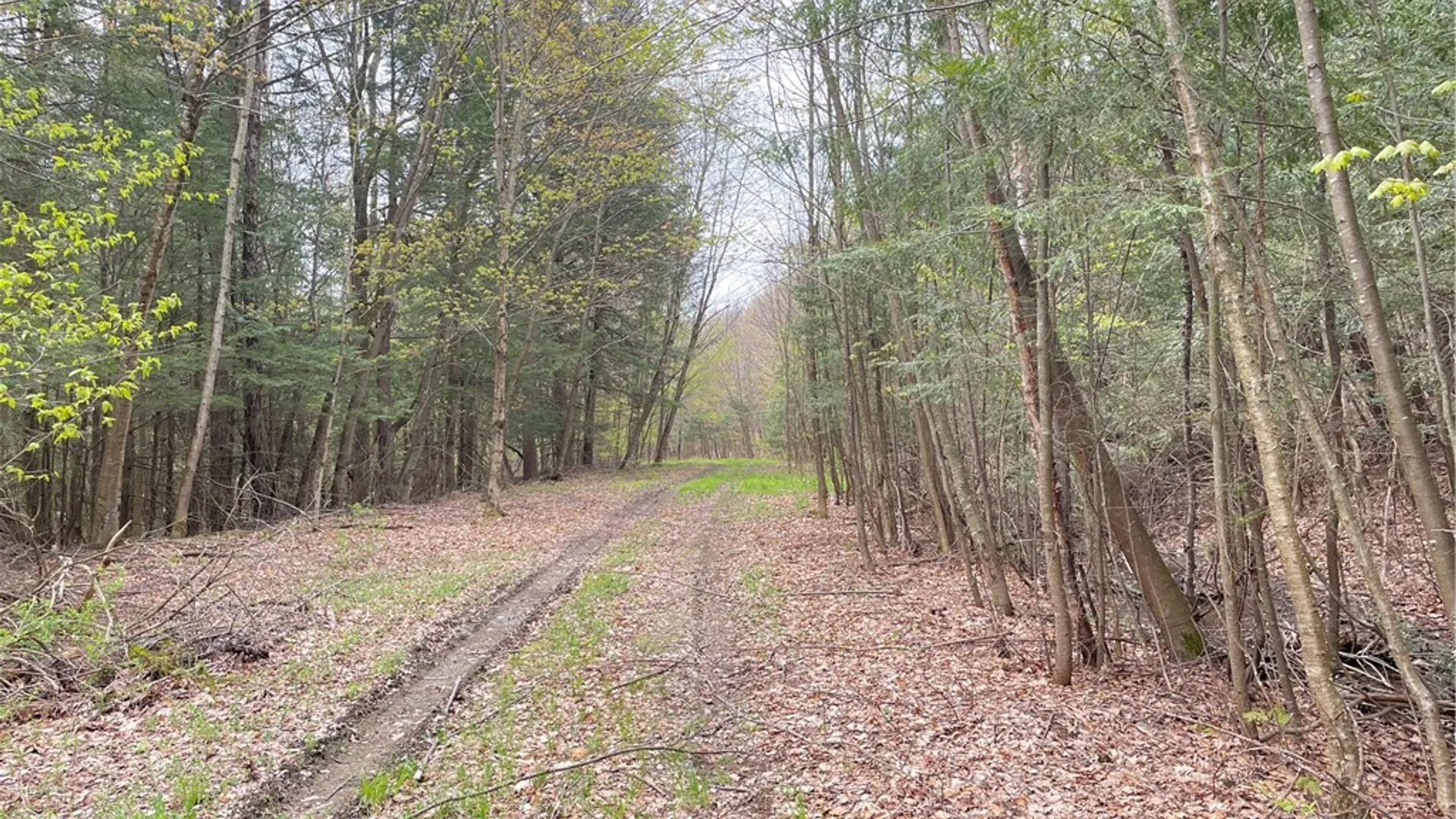 Property at State Route 10, Jefferson, NY 12093 6