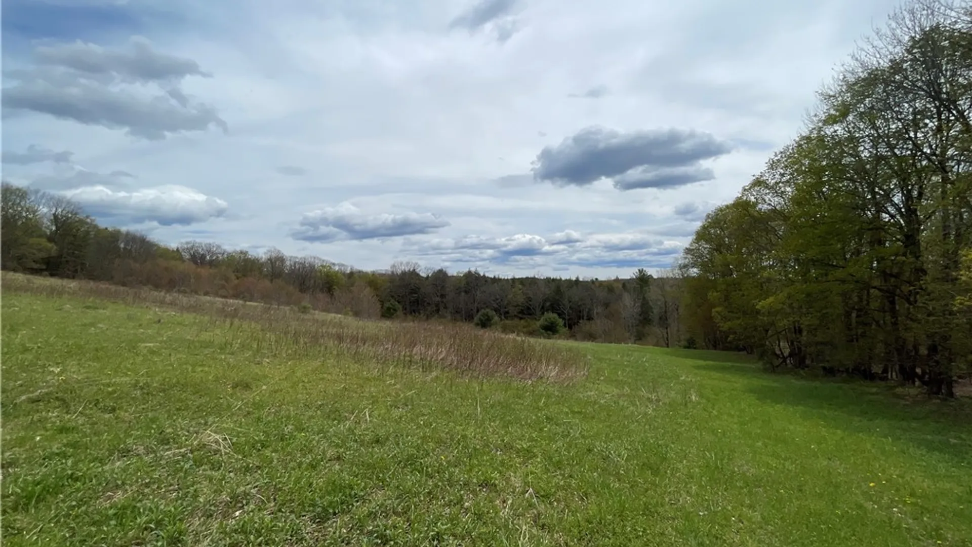 Property at State Route 10, Jefferson, NY 12093 7