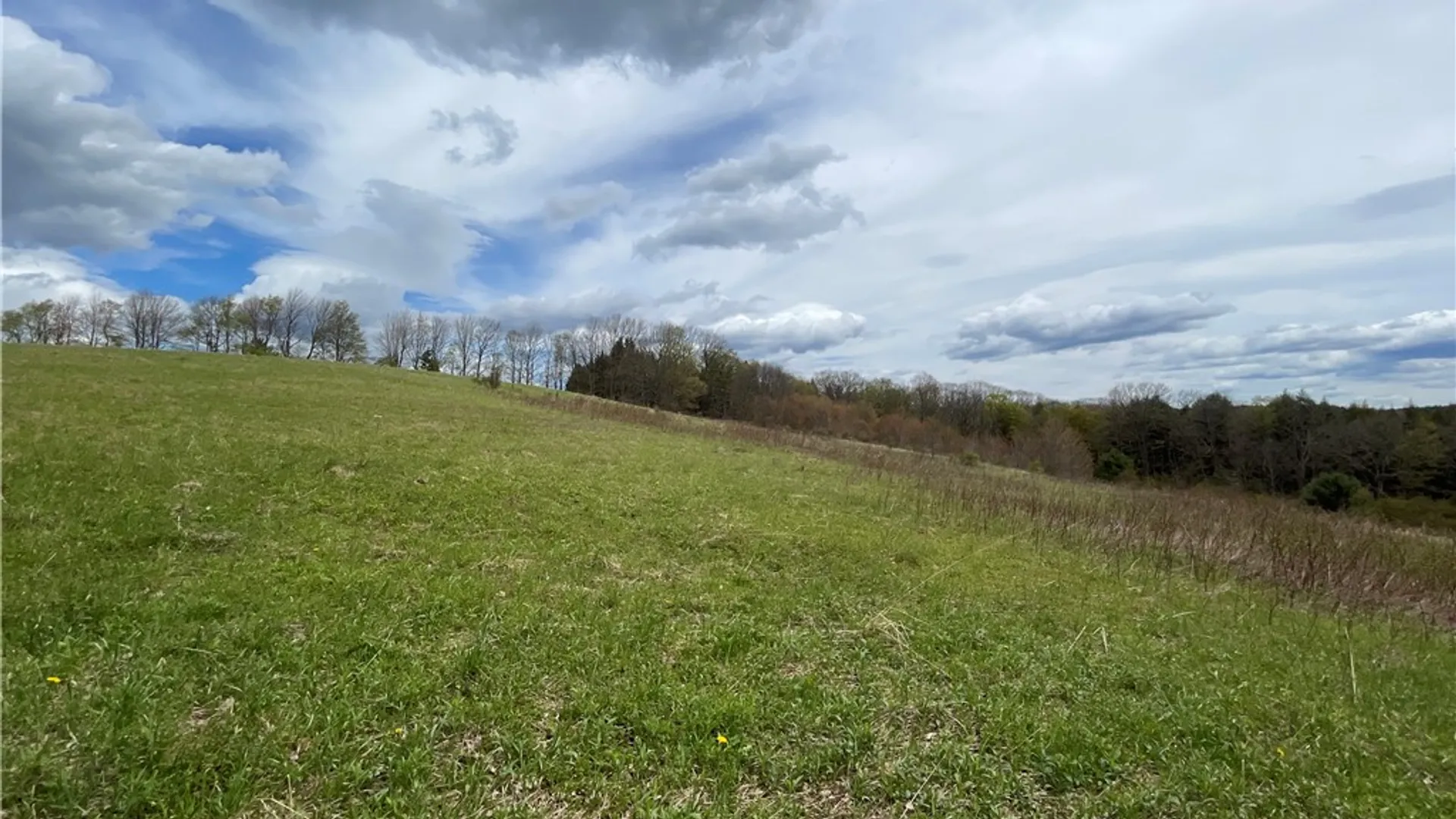 Property at State Route 10, Jefferson, NY 12093 8