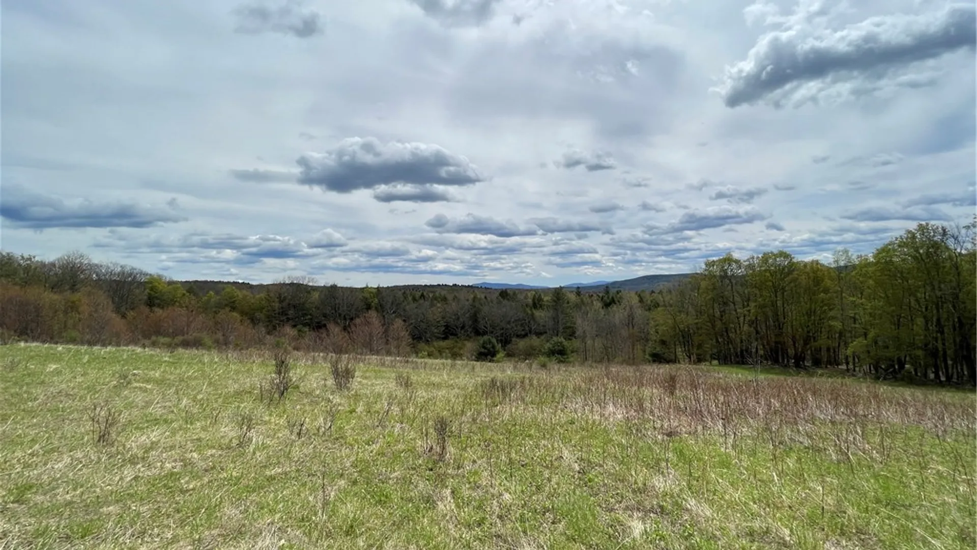 Property at State Route 10, Jefferson, NY 12093 10